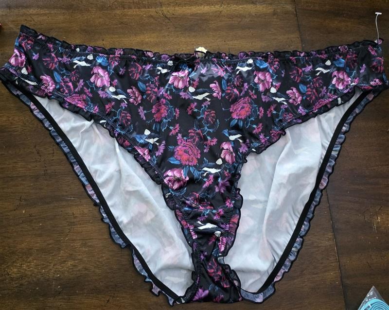 NWT Playful Promises 22 Noriko Crane Print Brief Underwear 125444