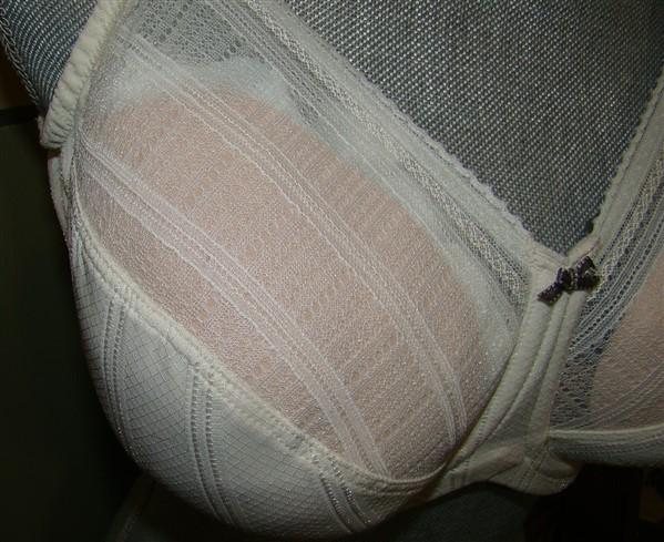 NEW Lilyette 40DD Enchantment 3 Section Mesh Minimizer Bra 434 Beige 127987