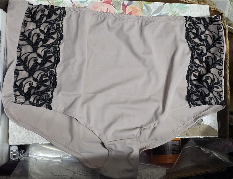 NWOT Amoureuse 10 Embroidered Hipster Panty Taupe Black Lace 129149