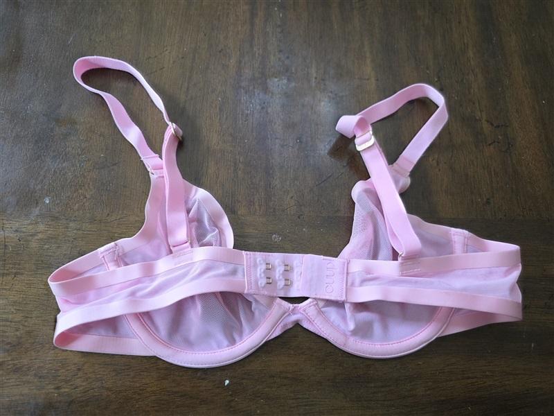 NWOT CUUP 30C The Plunge Mesh Pink Sheer Underwire Bra 131298