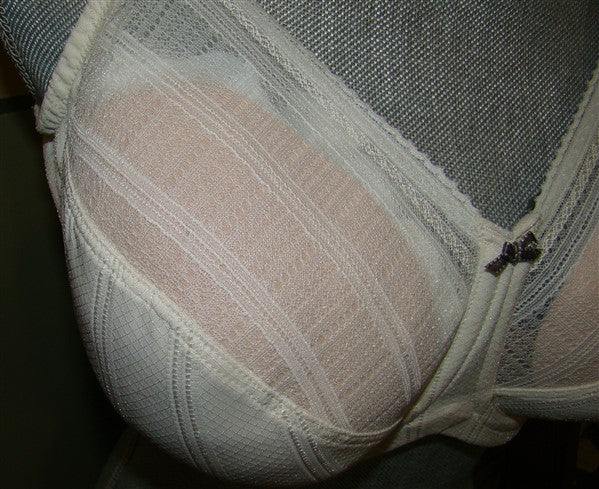 NEW Lilyette 40DD Enchantment 3 Section Mesh Minimizer Bra 434 Beige #86775