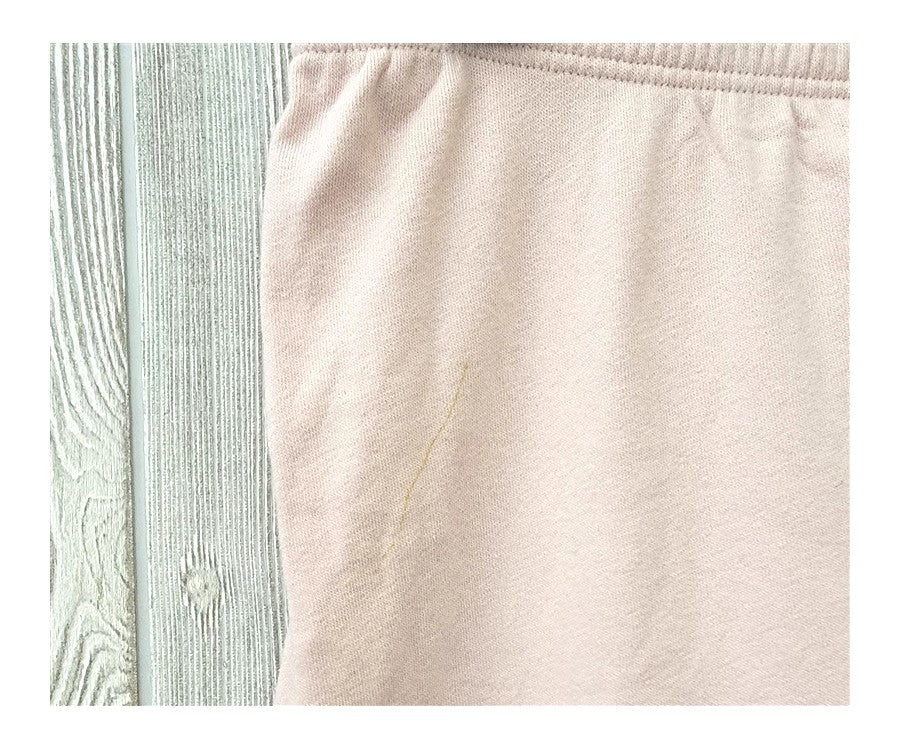 NWOT Wildfox LG Rainbow Grapefruit Stripe Joggers Sweat Pants Salt Pink #89707