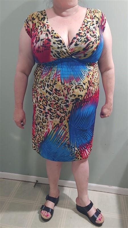 NWT V-Neck Maui Jungle Cheetah Blue & Pink Stretch Sundress Midi Dress M 01