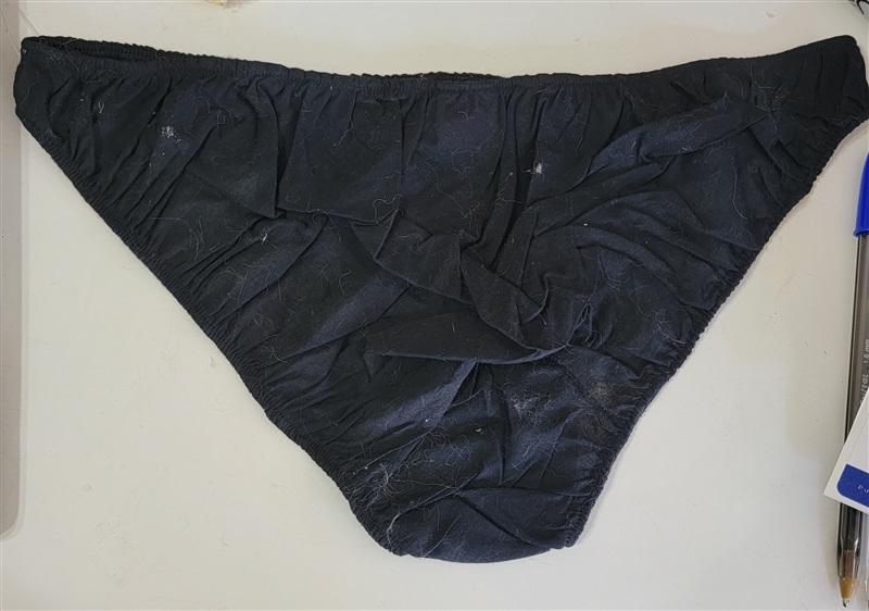 NWOT Only Hearts SM Helena Stuart Saturday Embroidered Underwear 103002