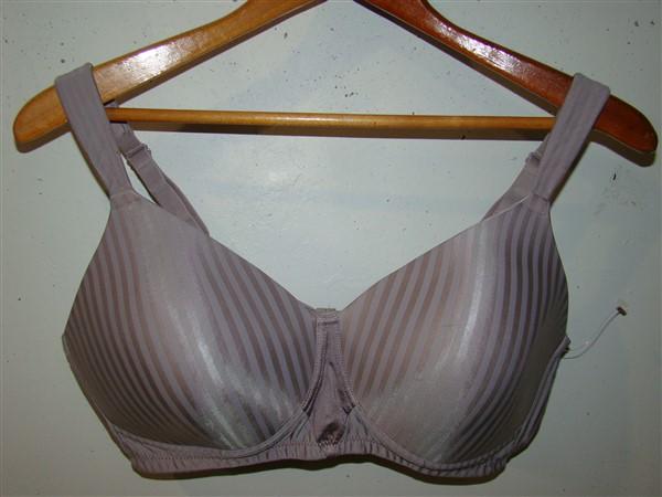 NWOT Playtex Perfectly Smooth 40DD Seamless Full-Figure Bra 4707 Beige 113006