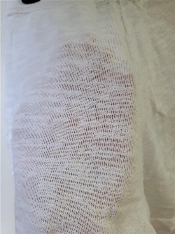 NWT Wildfox M Sinatra Shorts White with Rose 114253
