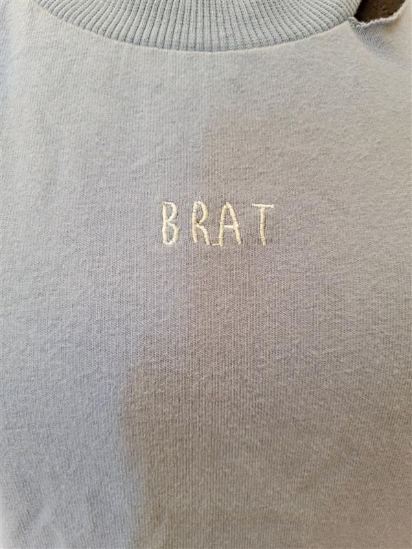 NWT Honey Punch Anthropologie S Distressed T-Shirt BRAT 116293