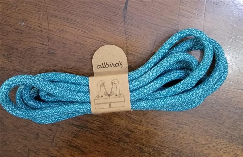 NWT AllBird's Natural Shoe Laces Teal Replacement Laces 118174