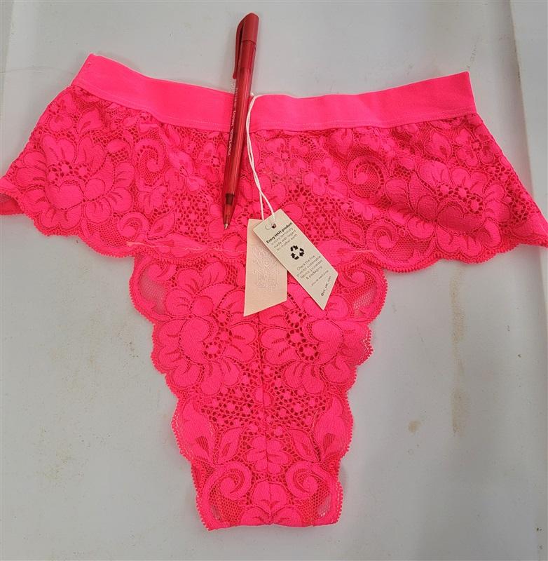 NWT Free People WE ARE HAH Spin Me High Waist Lace Panty Pink 119215