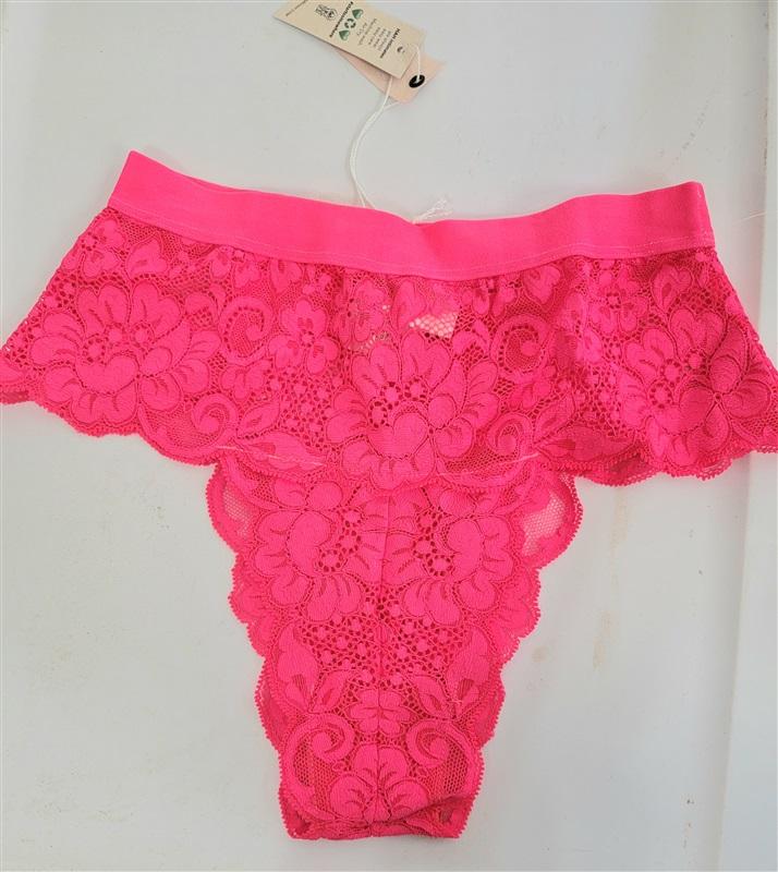NWT Free People WE ARE HAH Spin Me High Waist Lace Panty Pink 119215