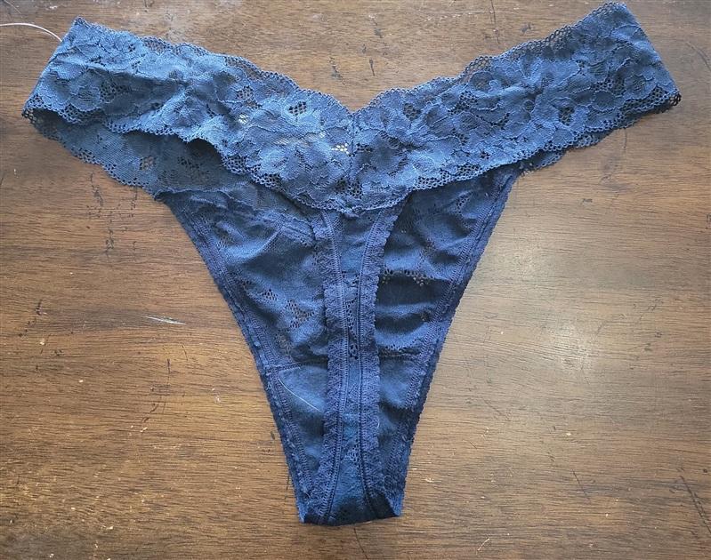 NWT Soma L Embraceable Lace Thong blue 121690