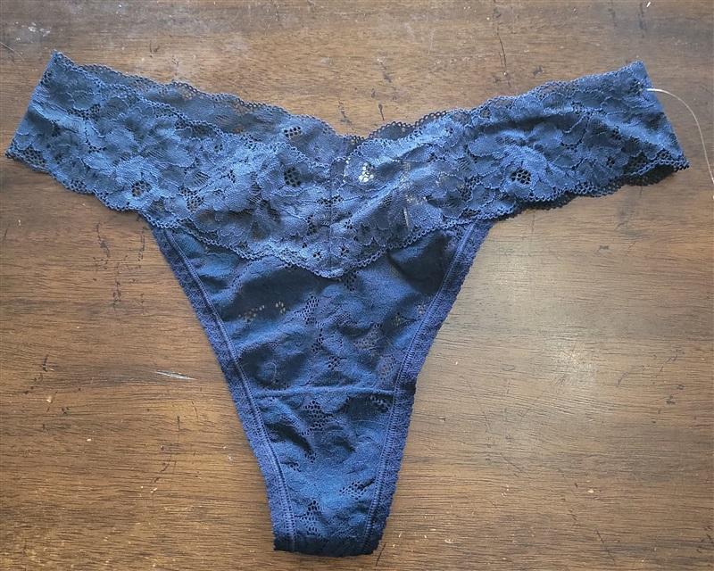 NWT Soma L Embraceable Lace Thong blue 121690