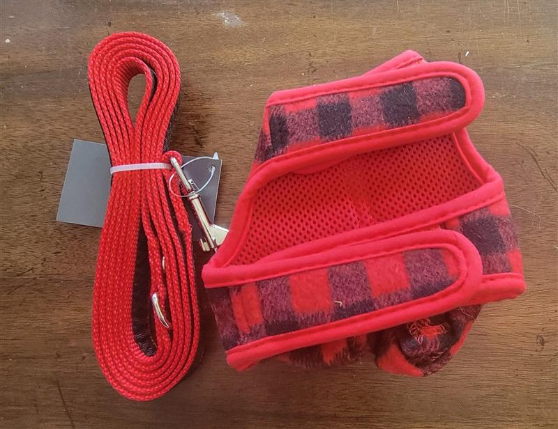 NWT Martha Stewart