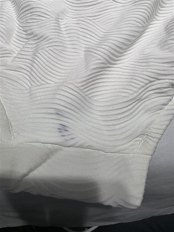 NWOT Seafolly 10 USA Belted Wide Side Retro Brief White 122617