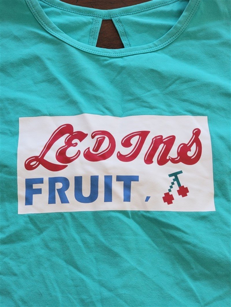 NWOT Ledins Fruit Pin Up T Shirt Aqua Green Cherry 123088