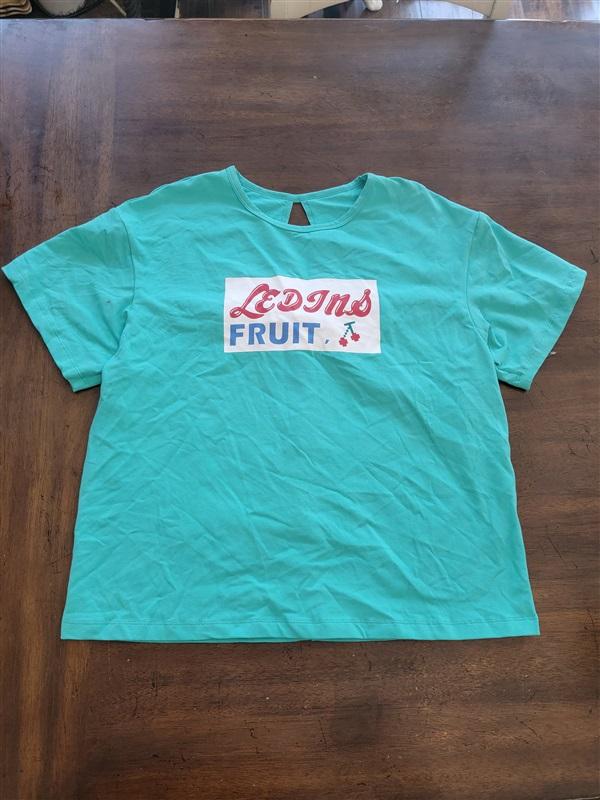 NWOT Ledins Fruit Pin Up T Shirt Aqua Green Cherry 123088