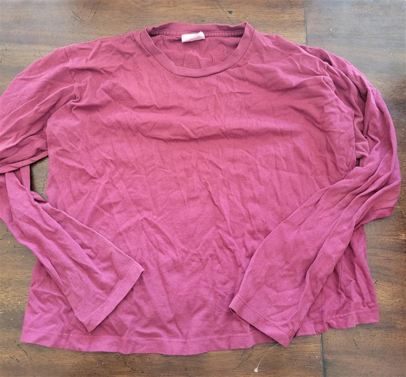 NWT L*Space L Pullover Burgundy Crop T Shirt 123134