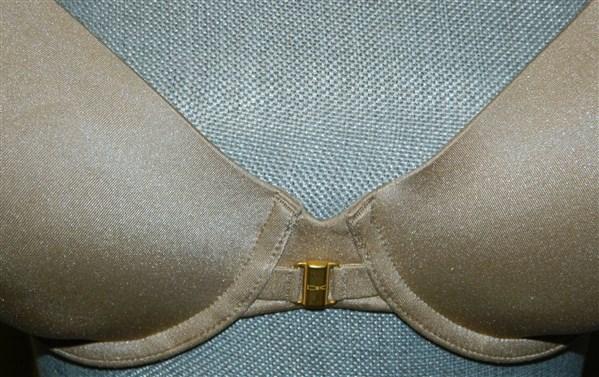 NWT Donna Karan 34DD Luxe Underwire T-Shirt Bra 453108 Beige 123392