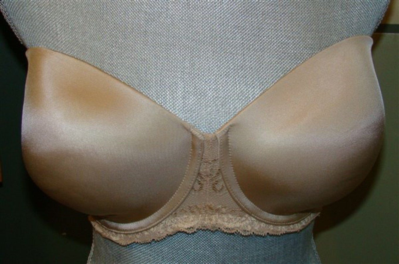 NWOT Lilyette 36DD Everyday Lift Strapless Bra 429 Beige #123542