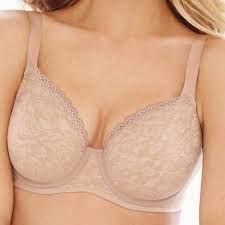 NWOT Soma 40C Enticing Lift Unlined Balconette Bra Beige 123995