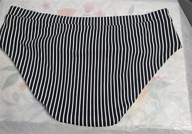 NWOT Seafolly 10 USA Go Overboard V Front High Waist Bikini Bottom Stripe 124812