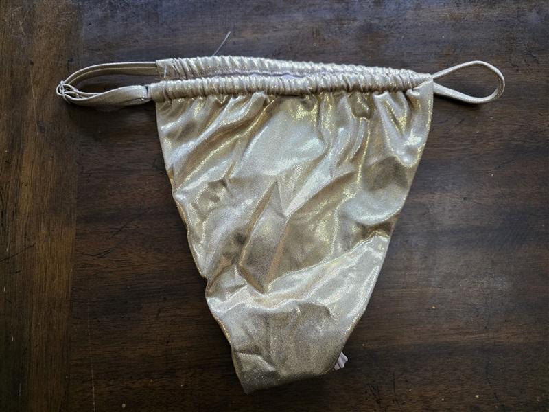 NWT Good American L Perfect Fit Bikini Bottom 123557