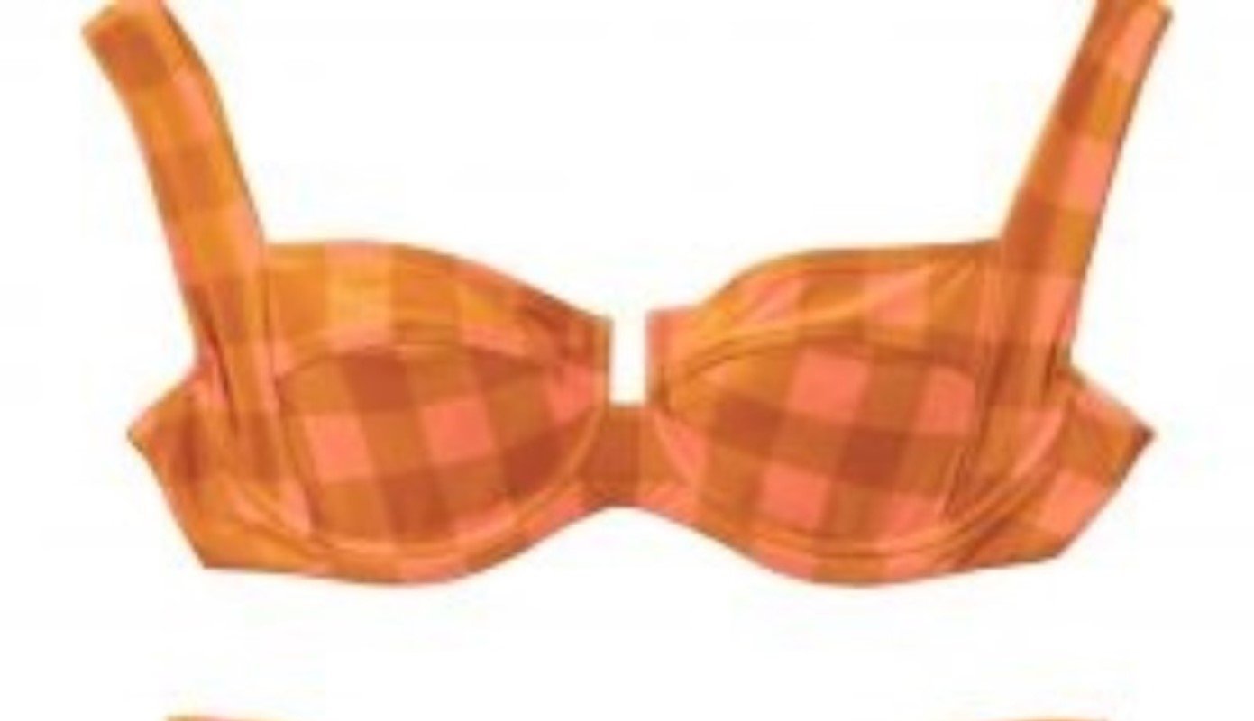 NWT L*Space XS Seaesta Surf Camellia Gingham Plaid Bikini Swim Top 125075