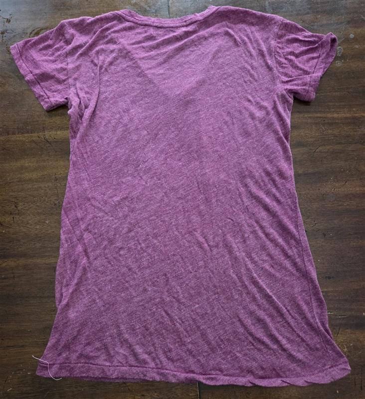 NWOTD Wildfox S Going to Venice T Shirt Burgundy V Neck 125515
