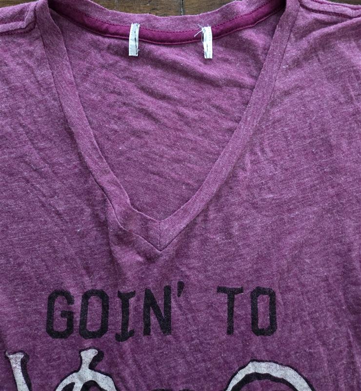 NWOTD Wildfox S Going to Venice T Shirt Burgundy V Neck 125515