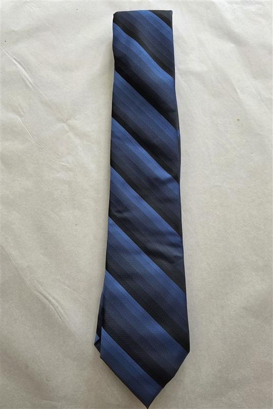 NWOT Van Heusen Blue Stripe Men's Neck Tie 125805