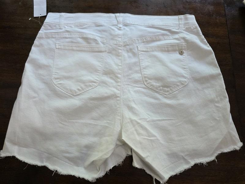 NWTD Democracy 18W Ab"solution Ab Technology High Rise Shorts White 126110