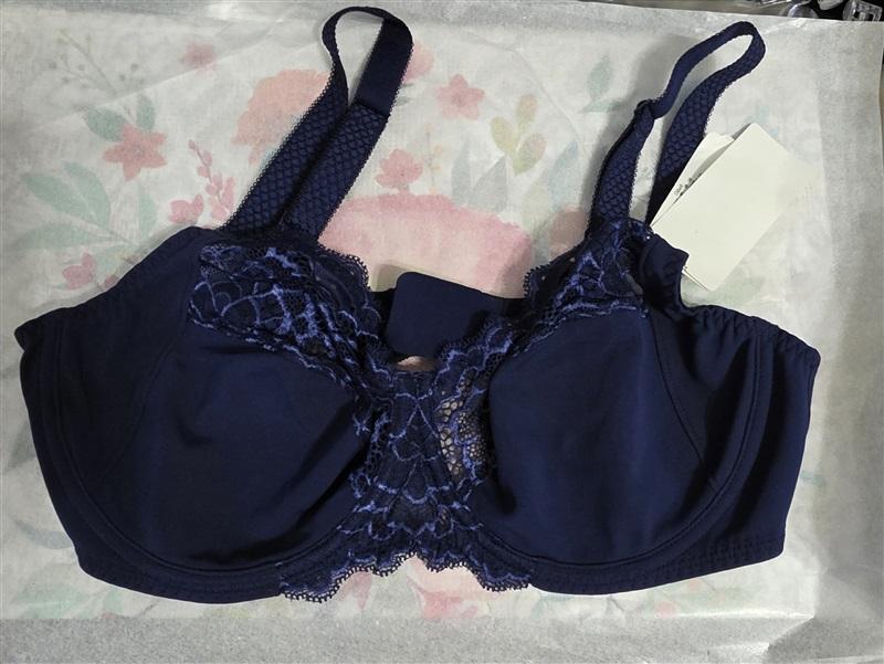 NWT Simone Perele 34G Caresse Full Cup Bra 12A320 Blue 127196