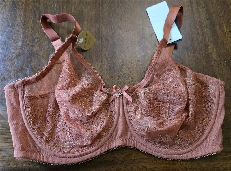 NWT Wacoal 34D Chantilly Lace Retro Chic 855186 Brown Bra Free Ship 127254
