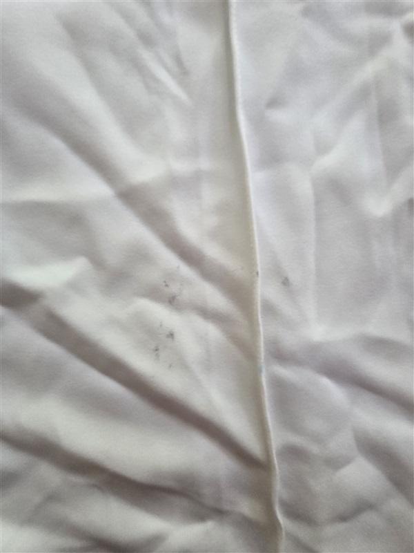 NWTD Tahari M Marcia Ivory Crepe Crop Coulotte Dress Pants 127568