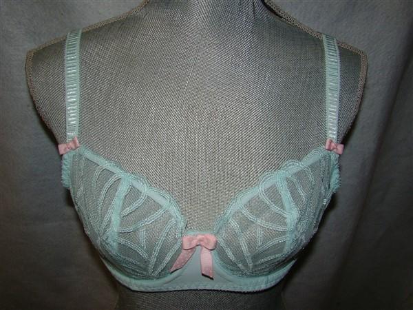 NWT Freya 30DD Starlet Underwire Vertical Seam Bra AA1061 Mint 127587