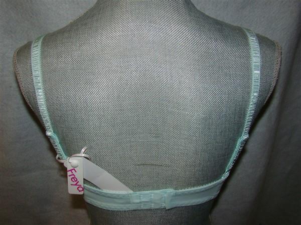 NWT Freya 30DD Starlet Underwire Vertical Seam Bra AA1061 Mint 127587