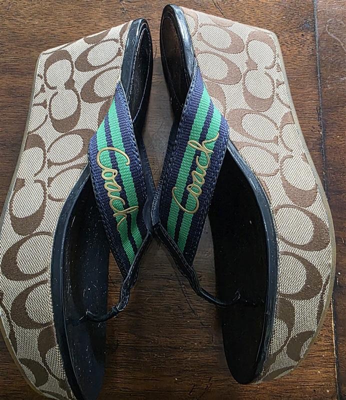 PO Coach 8.5 Gabriela Stripe Blue Green Logo Platform Sandals 128444