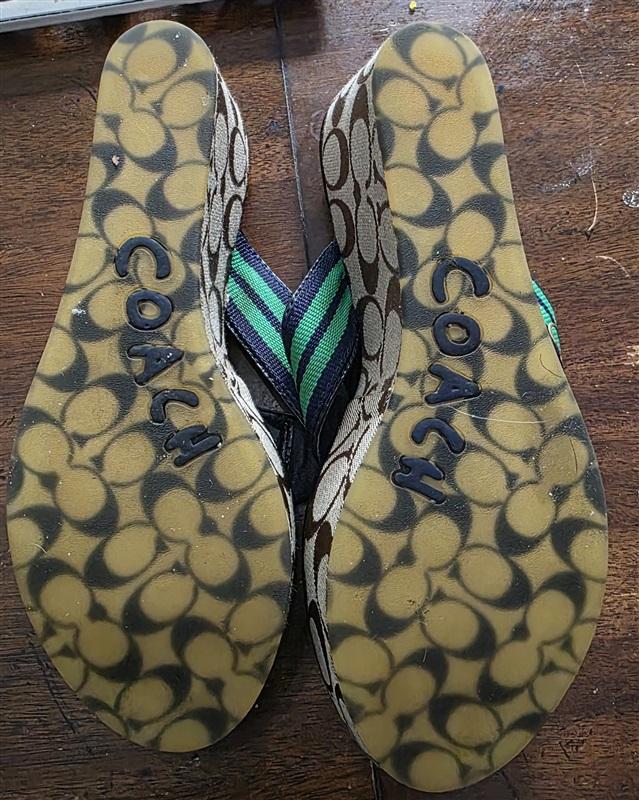 PO Coach 8.5 Gabriela Stripe Blue Green Logo Platform Sandals 128444