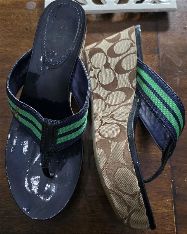 PO Coach 8.5 Gabriela Stripe Blue Green Logo Platform Sandals 128444