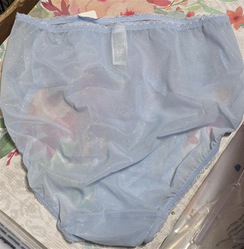 NEW Wacoal Retro Chic Brief Panty SM 841186 Blue Chantilly Lace 129144
