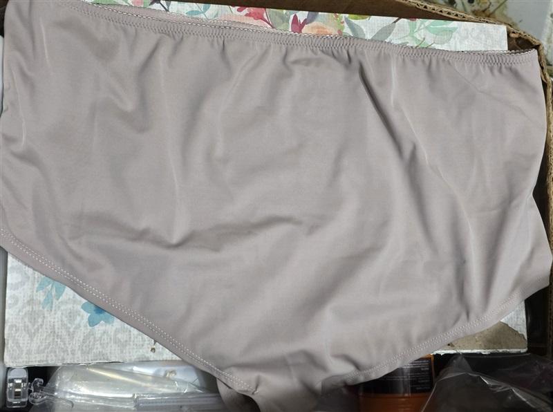 NWOT Amoureuse 10 Embroidered Hipster Panty Taupe Black Lace 129149