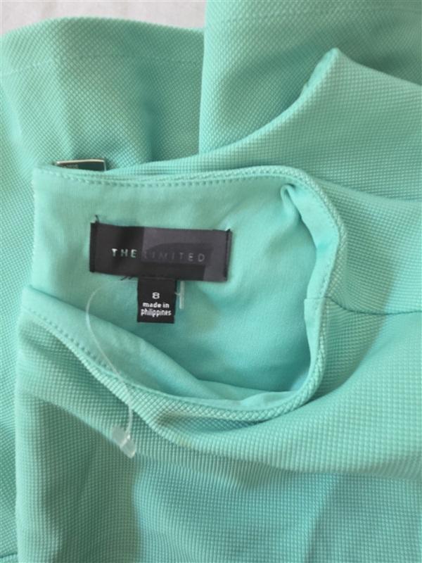 NWOTD The Limited 8 Seafoam Green Ruffle Flounce Hem Dress 129212