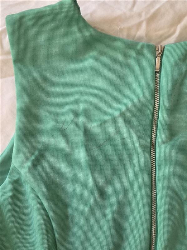 NWOTD The Limited 8 Seafoam Green Ruffle Flounce Hem Dress 129212