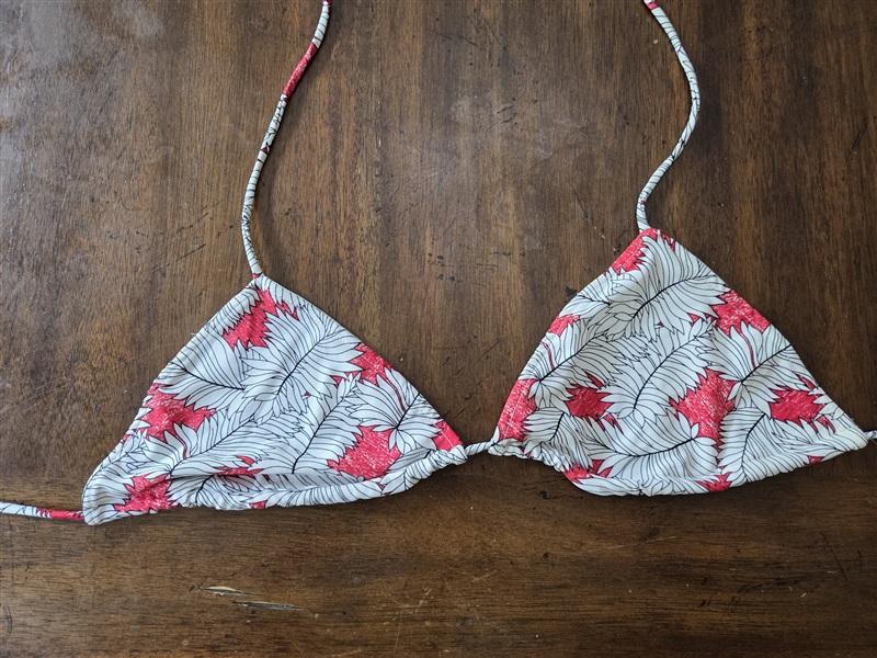 NWOT Rachel Pally M Vanuata Punch Palm Frond Triangle Bikini Swim Top 129286