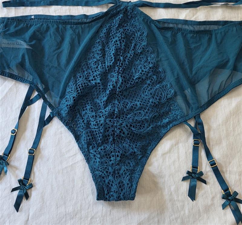 NWOT Cacique 26/28 Sheer Mid Waist Cheek Underwear Garters 129418