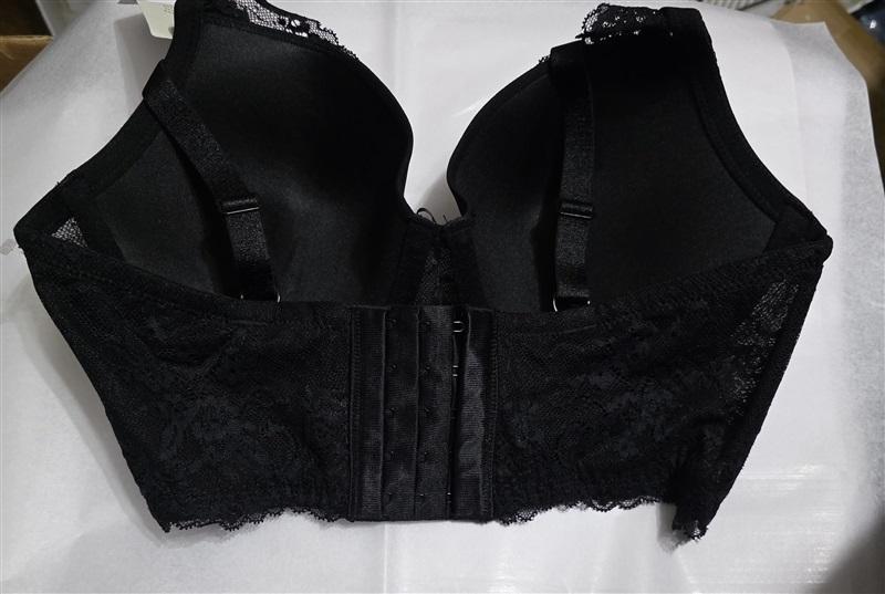 NWT Parfait 34DD USA Longline Lace Underwire Bra P5351 Sandrine 129487