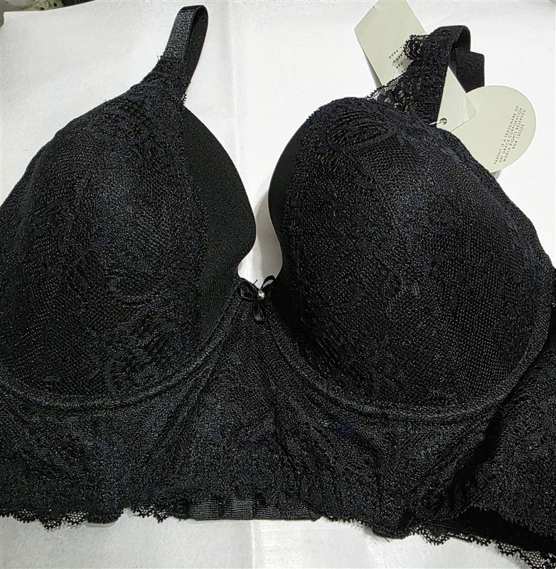 NWT Parfait 34DD USA Longline Lace Underwire Bra P5351 Sandrine 129487
