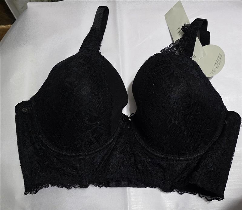 NWT Parfait 34DD USA Longline Lace Underwire Bra P5351 Sandrine 129487