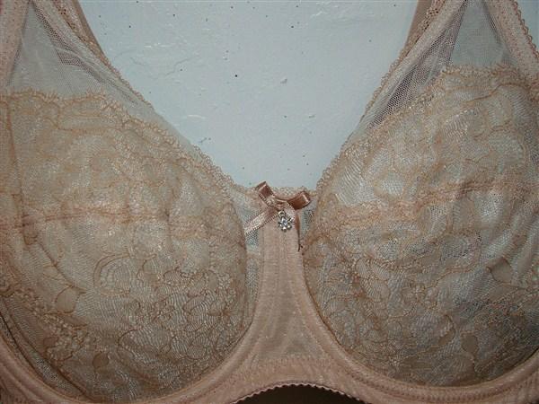 NWT Wacoal 42D Chantilly Lace Retro Chic 855186 Toast Bra Free Shipping 129569