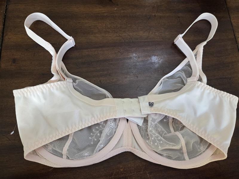 NWOT Simone Perele 36E Delice Sheer Plunge Bra 12X319 Pink 129854